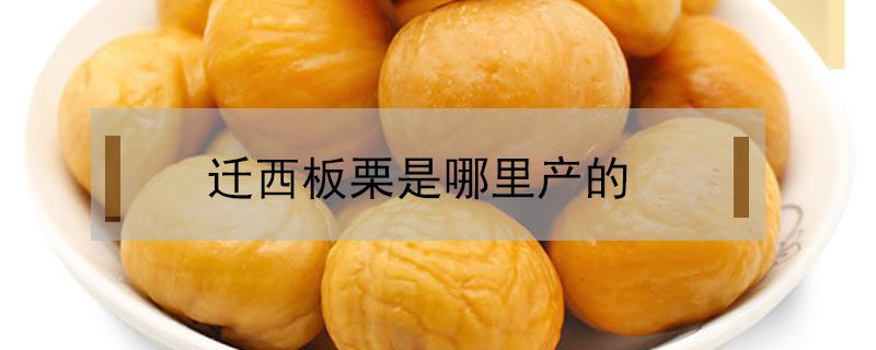 迁西板栗是哪里产的（正宗的迁西板栗产地）