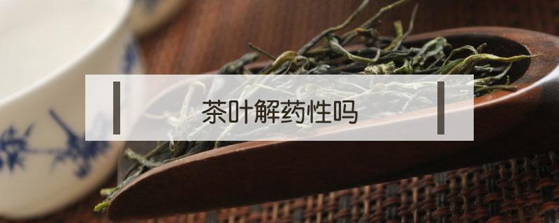 茶叶解药性吗