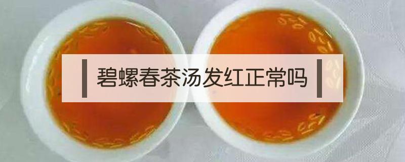 碧螺春茶汤发红正常吗（碧螺春茶汤颜色发黄是怎么回事）