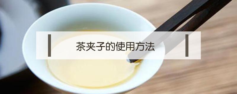 茶夹子的使用方法 泡茶夹子 用法