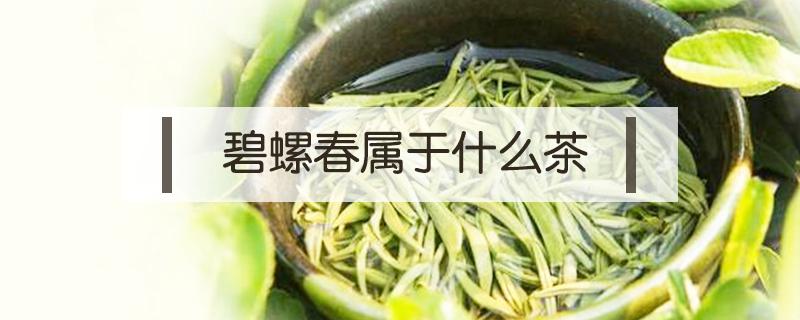 碧螺春属于什么茶