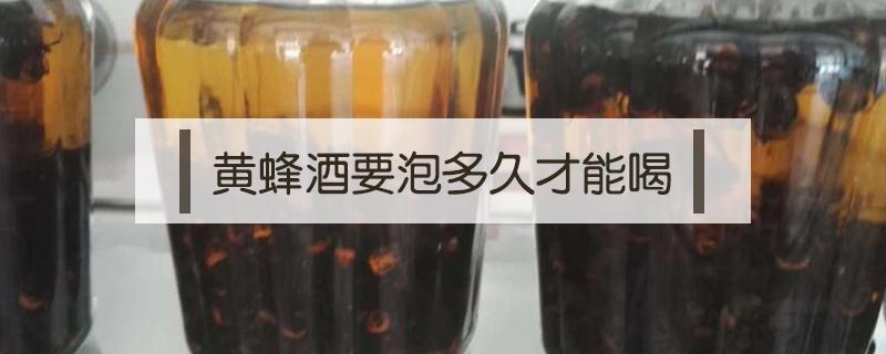 黄蜂酒要泡多久才能喝（大黄蜂泡酒多长时间能够饮用?）