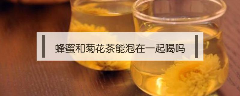 蜂蜜和菊花茶能泡在一起喝吗（蜂蜜和菊花可以一起泡茶吗）