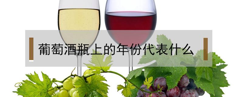 葡萄酒瓶上的年份代表什么 葡萄酒瓶身的年份表示