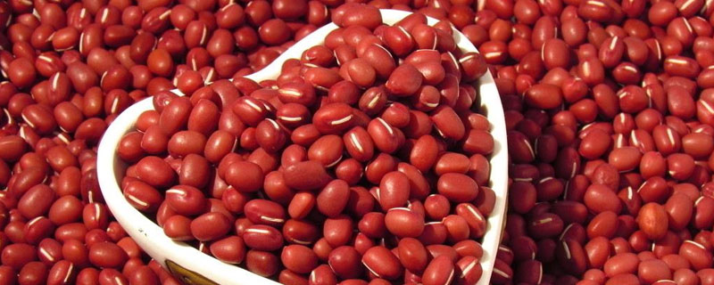 红小豆种植时间和方法 红小豆种植时间和方法视频