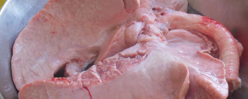 怎么洗猪肺，猪肺吃了有害处吗（怎样洗猪肺最快最干净的窍门）