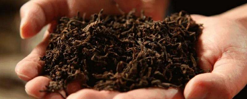 什么是茶叶发酵，附发酵原理（茶叶是怎么发酵的）