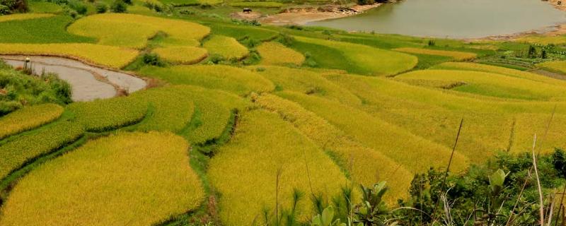 耕地等级划分共几级，耕地等级是根据什么确定的