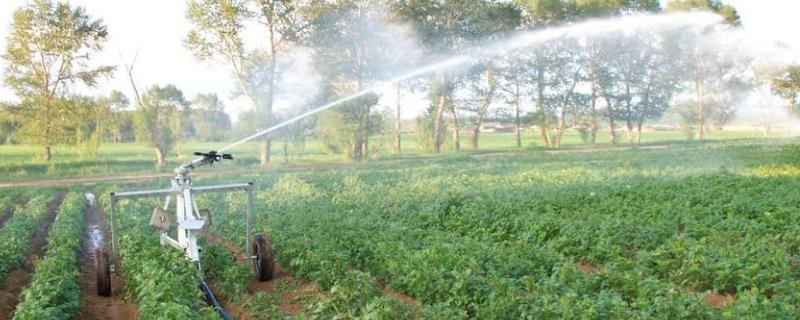 节水灌溉有哪几种，是干什么的（节水灌溉有哪几种,是干什么的工作）