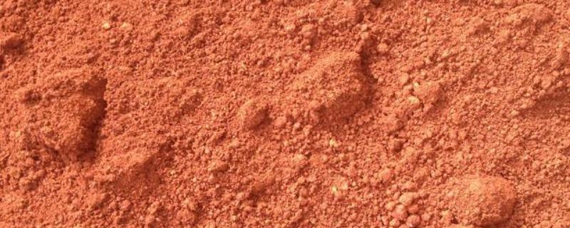 红壤的改良措施，红壤的形成原因 土壤为红壤