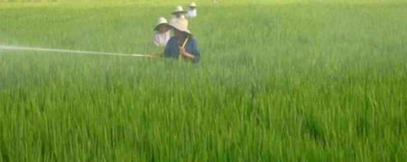 水胺硫磷属于哪类农药，对人有多大危害