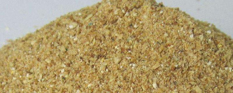 一斤浓缩料拌几斤玉米 一袋料精拌多少玉米