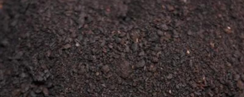 腐植酸肥料的作用，使用大忌是什么