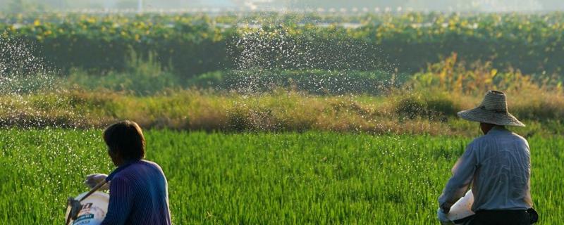 钼酸铵的农业用途，用量及使用方法 钼酸铵的农业用途怎么使用