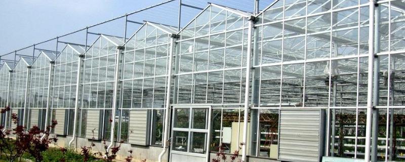 如何建造温室玻璃大棚，造价多少（玻璃温室大棚建造全过程）