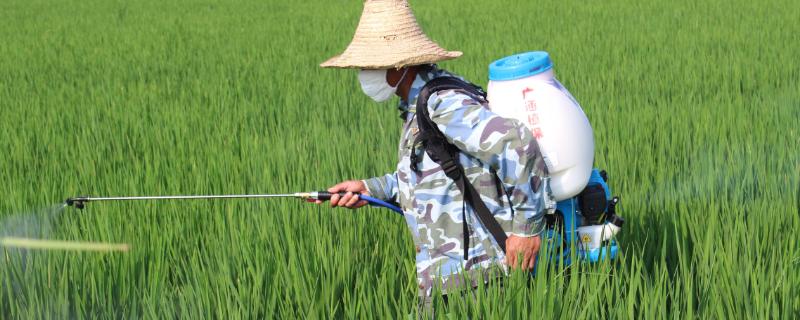 草甘膦怎么解除药性