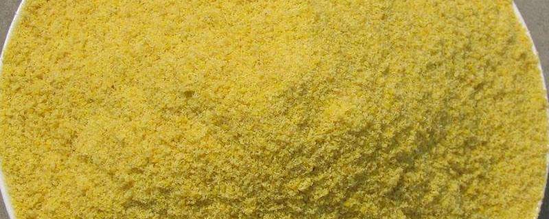 膨化玉米粉和玉米粉区别（膨化玉米粉和玉米粉区别 喂狗）