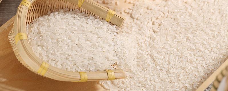 一百斤稻谷能出多少米 一百斤稻谷能出多少米糠油