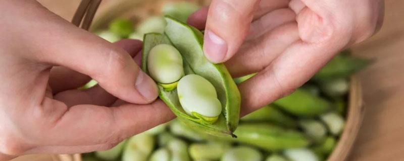 胡豆皮可以做肥料吗（豌豆皮可以做肥料吗）