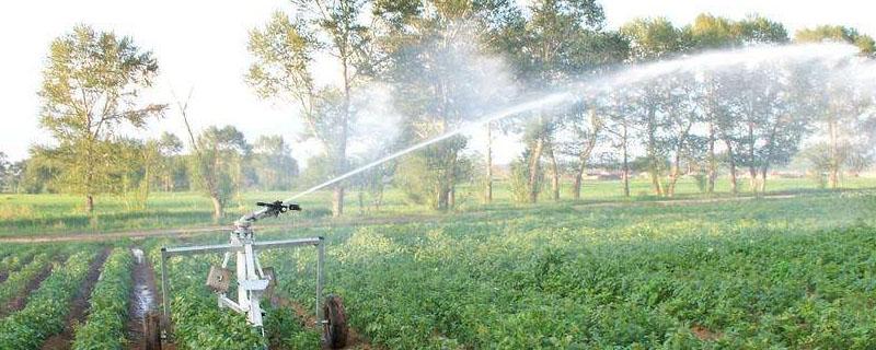 西亚的灌溉农业区主要分布在（西亚主要的灌溉农业区是）
