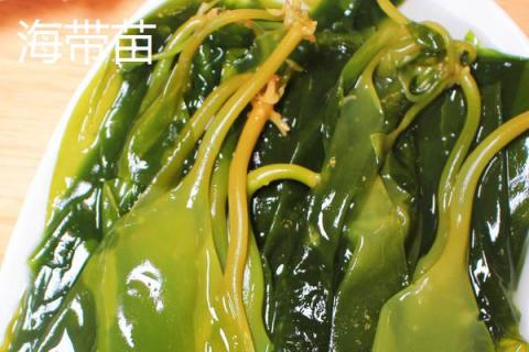 海带苗和裙带菜一样吗