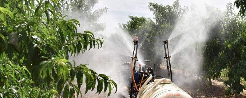 氧化乐果不能打什么树 氧化乐果可以打果树吗