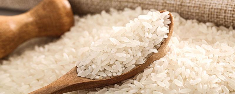 腹白米为不良品质米吗 腹白多的大米是品质低的米