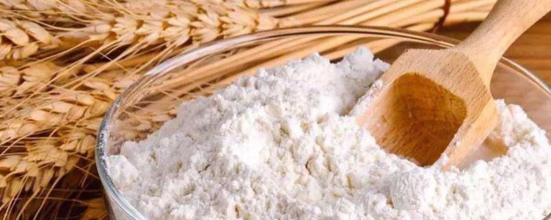 小麦粉适合做什么 高筋小麦粉适合做什么