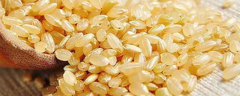什么是糙米 什么米是糙米