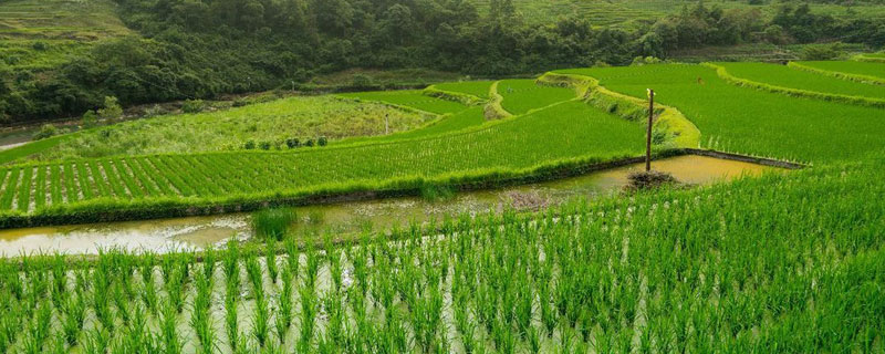 农田灌溉水标准（农田灌溉水标准gb5084）