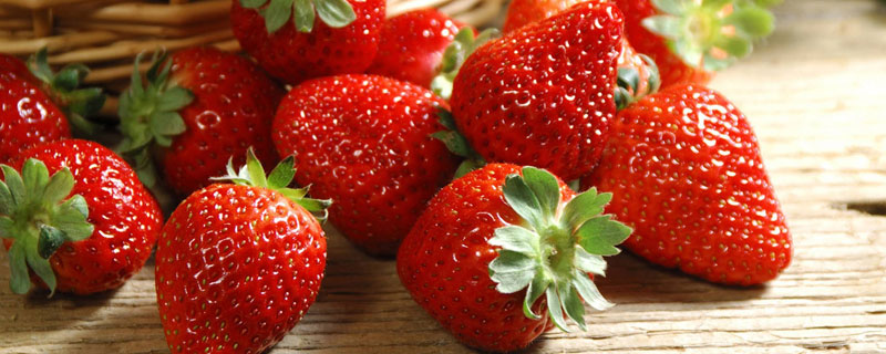 草莓怕冷吗 草莓怕不怕冷