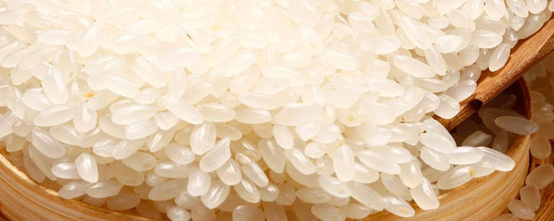 什么是粳米（什么是粳米以及粳米的图片）