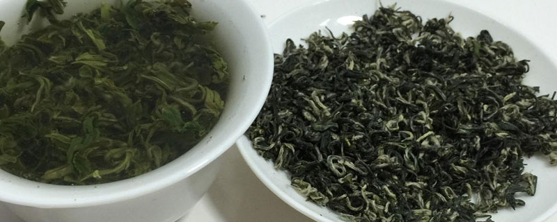 绿茶怎么分辨好坏 如何辨别绿茶的好坏