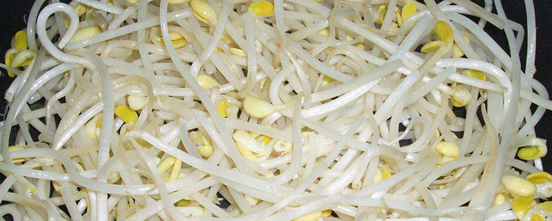 黄豆芽几分钟能熟（黄豆芽多久熟透）