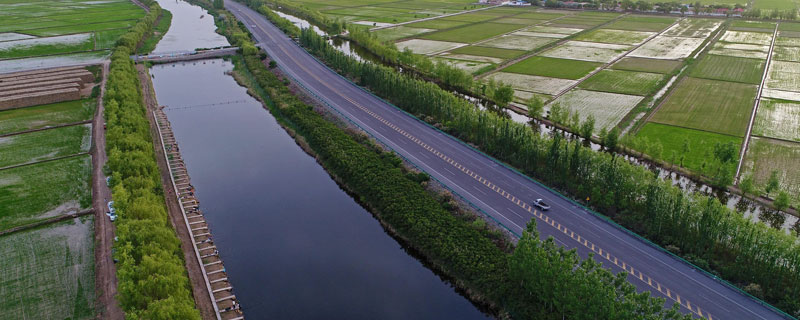 水稻孕穗期可以打灭草松吗（水稻孕穗期能除草吗）