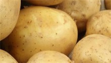 土豆 土豆视频