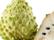 番荔枝百科（番荔枝又叫什么）