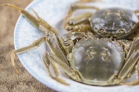 蟹壳 蟹壳青紫砂泥料介绍