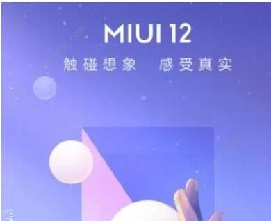 MIUI12申请答题答案是什么 第二次申请答题答案汇总[多图]图片2