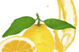 柠檬叶 柠檬叶的功效与作用及食用方法