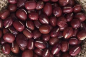 赤小豆 赤小豆和薏米怎么煮去湿气