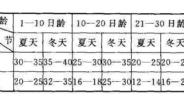 雏鸭的饲养管理