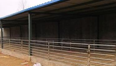 黑山羊养殖技术的要点与步骤 黑山羊养殖技巧