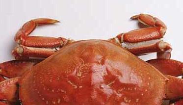 吃螃蟹不能吃什么 吃螃蟹不能吃什么蔬菜