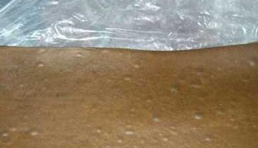 蟾酥的采集和加工技术 蟾酥是怎样提取加工的