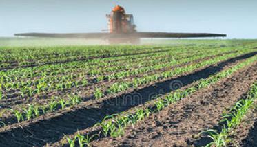 玉米苗期追肥用什么肥