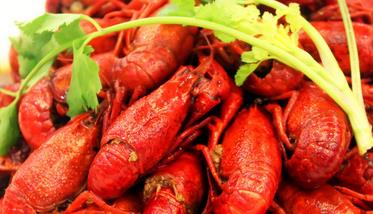 龙虾的营养价值 龙虾的营养价值和功效和禁忌