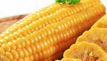 吃玉米的好处（吃玉米的好处和功效与作用禁忌）