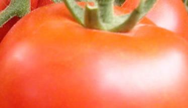 西红柿的营养价值－吃西红柿的好处（西红柿的营养好不好）