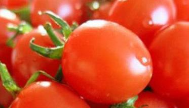 樱桃番茄和圣女果的区别 目前最好吃的小番茄是啥品种